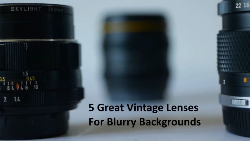 5 Great Vintage Lenses For Blurry Backgrounds