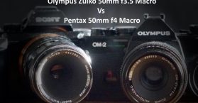 Olympus Zuiko 50mm f3.5 Macro Vs Pentax 50mm f4 Macro Review