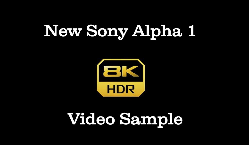 Sony a1 8K video sample