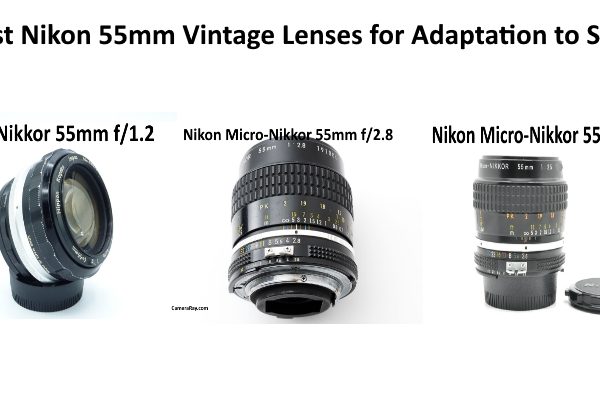 Best Nikon 55mm Vintage Lenses for Adaptation to Sony