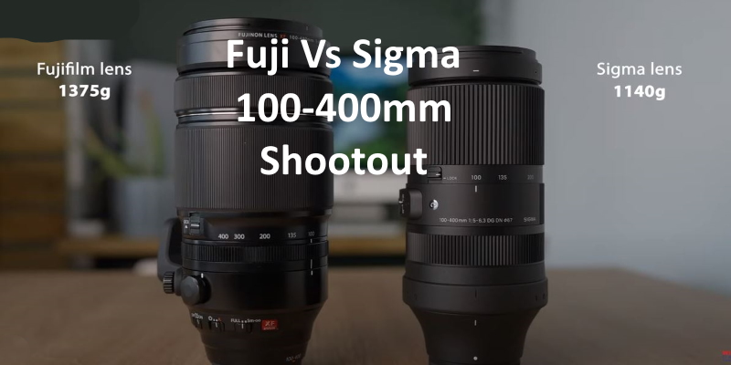 Fuji 100-400mm vs Sigma 100-400mm f/5-6.3 DG DN OS Contemporary Lens